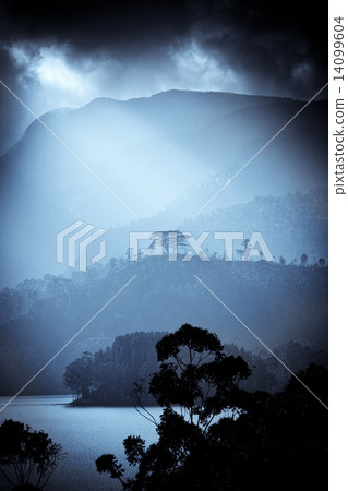 Panorama of the tea plantations and lake at sunset, Maskeliya, S Panorama of the tea plantations and lake at sunset, Maskeliya, S 14099604