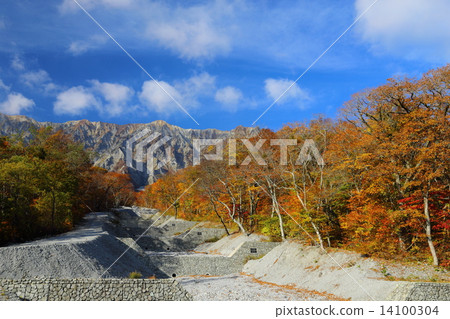 Autumn leaves of Mt. Oyama 14100304