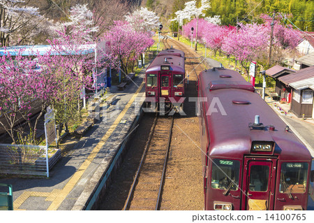 Spring's Watase ravine railway 2 14100765