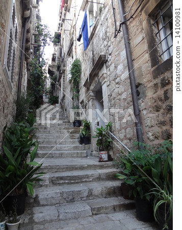 Alley  14100981