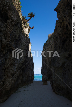 沖繩的海，沃爾米 14101008