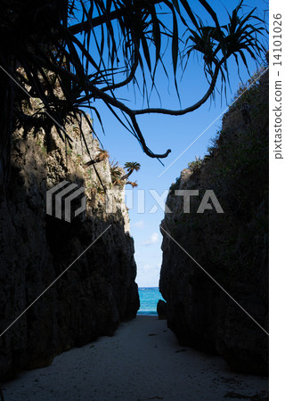 沖繩的海，沃爾米 14101026