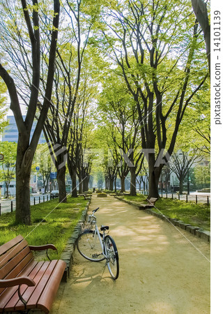 Shinzenji-dori Park of fresh green Shinzenji-dori Park of fresh green 14101139