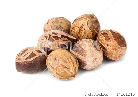 Close up and selective focus on the dried Nut Meg at foreground Close up and selective focus on the dried Nut Meg at foreground 14101219