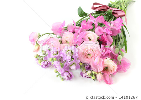 毛茛屬植物,股票和甜豌豆花束(左側向左側) 毛茛屬植物,股票和甜豌豆花束(左側向左側) 14101267