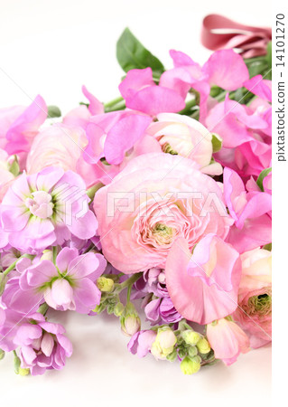 毛茛屬植物,股票和甜豌豆花束(垂直部分) 毛茛屬植物,股票和甜豌豆花束(垂直部分) 14101270