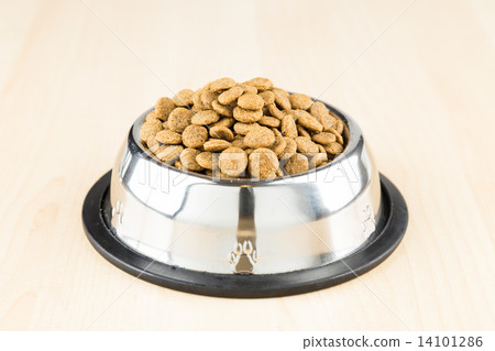 Dog Kibbles in a bowl on wooden floor Dog Kibbles in a bowl on wooden floor 14101286