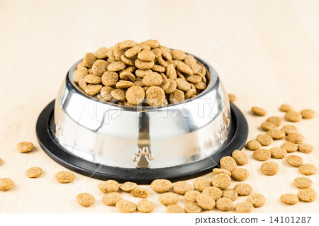 Dog Kibbles in a bowl on wooden floor 14101287
