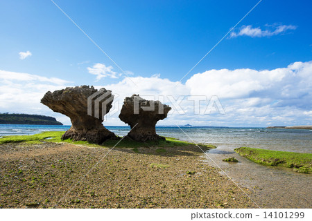 沖繩的海，總公司鎮，奇怪的岩石風景 14101299