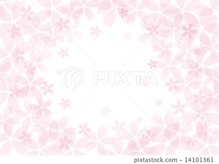 Sakura background illustration Sakura background illustration 14101361