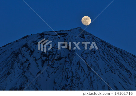 Fuji of Pearl Fuji of Pearl 14101716