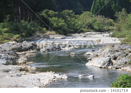 Miyama Miyama 14101719