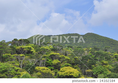 Nature Nature 14102184