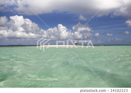 tropical beach in Carribean tropical beach in Carribean 14102223