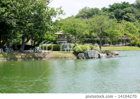 Refreshing fresh green landscape to watch through the pond (Sleeping lily garden) 14104270