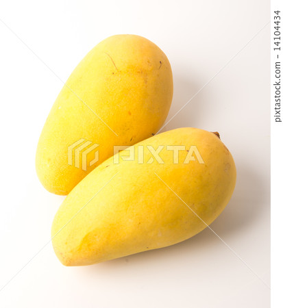 yellow mango fruit on a background yellow mango fruit on a background 14104434