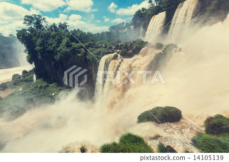 Iguazu 14105139