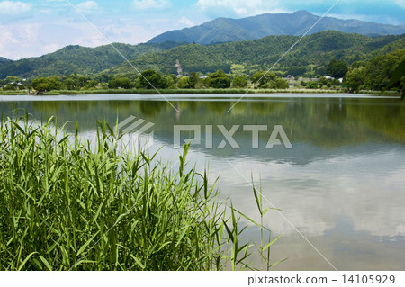 廣澤池塘 廣澤池塘 14105929