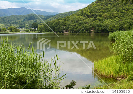 廣澤池塘 廣澤池塘 14105930