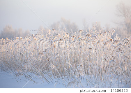 Winter moor 14106323