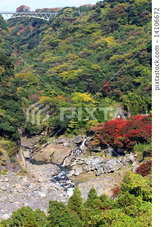 秋天立野谷 秋天立野谷 14106672