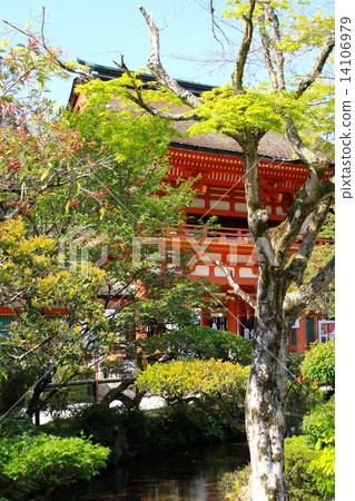 Kamigamo神社 Kamigamo神社 14106979