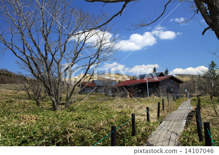 Hachijigahara Marsh 14107046