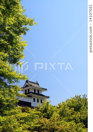 郡上八幡城 14107081
