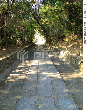 萬願寺 萬願寺 14107151