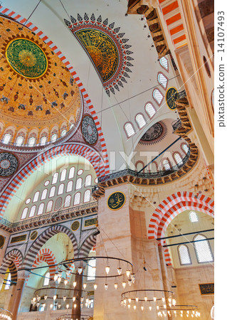 Suleymaniye Mosque in Istanbul Turkey 14107493
