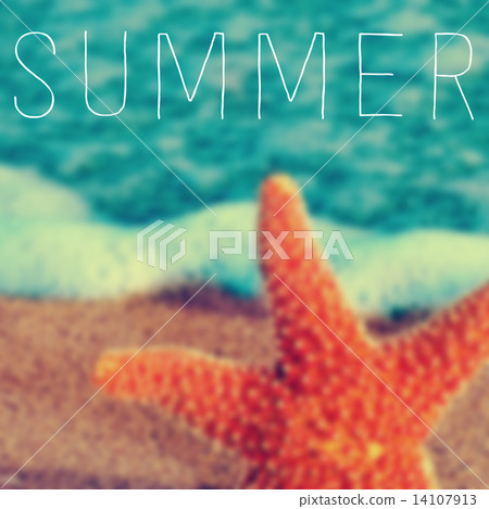 word summer and a starfish in the seashore 14107913