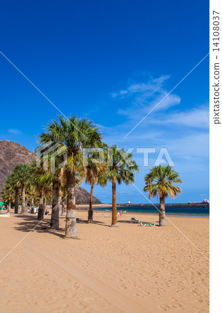 Beach Teresitas in Tenerife - Canary Islands Beach Teresitas in Tenerife - Canary Islands 14108037