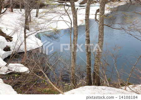 月山地藏沼融雪池 月山地藏沼融雪池 14108184