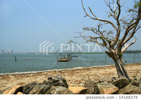 Chinese fishing nets, Cochin, South India Chinese fishing nets, Cochin, South India 14108378
