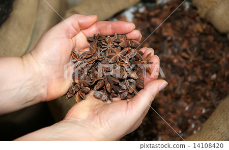 Star-Anise. Beautiful and exotic spice. Star-Anise. Beautiful and exotic spice. 14108420