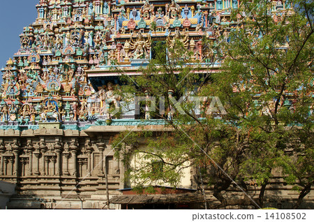 Meenakshi hindu temple in Madurai, Tamil Nadu, South India. Scul Meenakshi hindu temple in Madurai, Tamil Nadu, South India. Scul 14108502