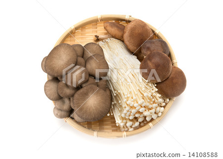 什錦蘑菇 什錦蘑菇 14108588