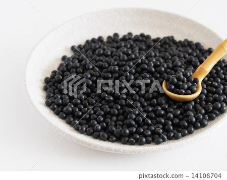 Kurosengoku soybean 14108704