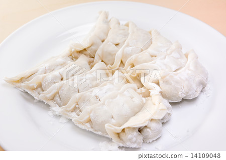 美味的原料餃子 美味的原料餃子 14109048