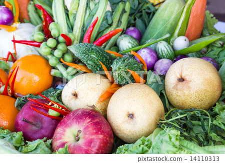 Fresh fruits and vegetables Fresh fruits and vegetables 14110313