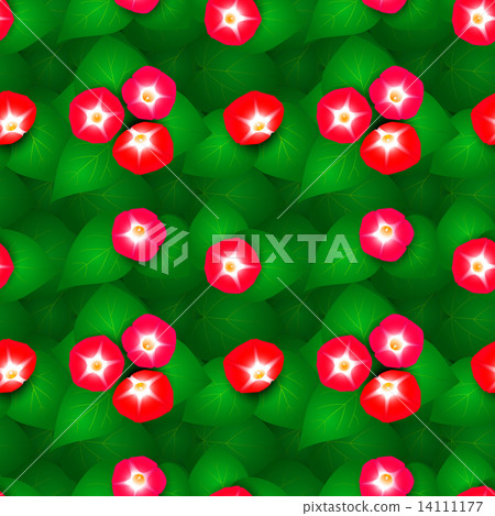 Seamless pattern with ipomoea flowers 14111177