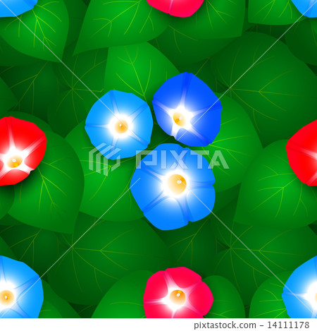 Seamless pattern with ipomoea flowers 14111178