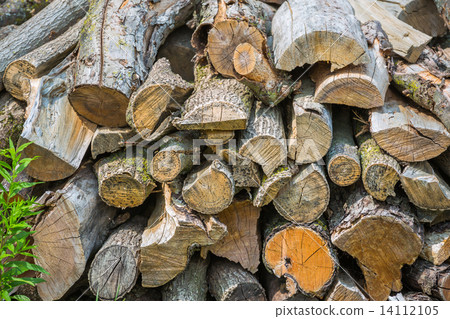 Pile of firewood 14112105