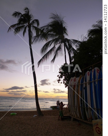 Dusk of Waikiki 14112723