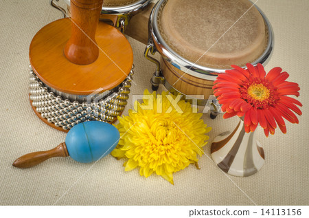 Percussions 14113156