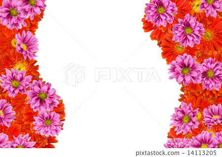 Flowers Flowers 14113205