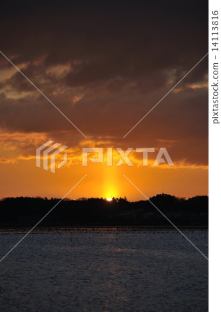 來自伊豆沼的Sunpillar 14113816