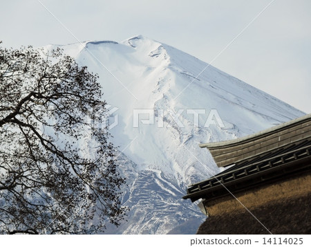 Fuji of Oshino village Crown of Snow Fuji of Oshino village Crown of Snow 14114025
