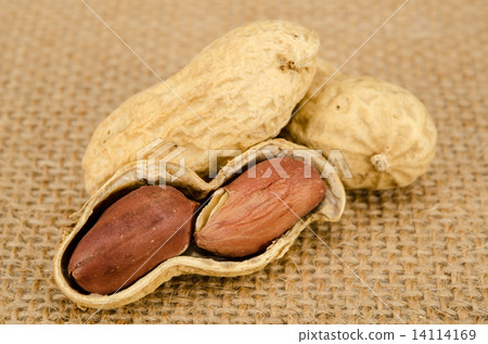 Peanuts 14114169