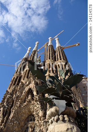 Birth façade and plant sculpture 14114578